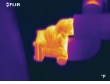 Jersey Infrared Consultants Newsletter for Fall 2017